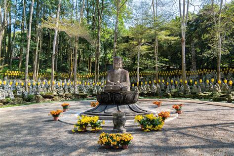 禪機山仙佛寺|禪機山仙佛寺由來詳細介紹、起源故事與拜拜攻略 －嗨。